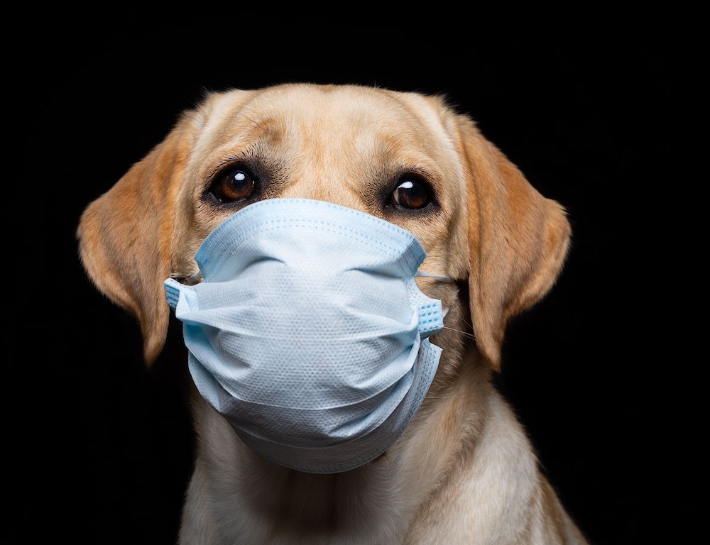 The Elbow Bump in the Road